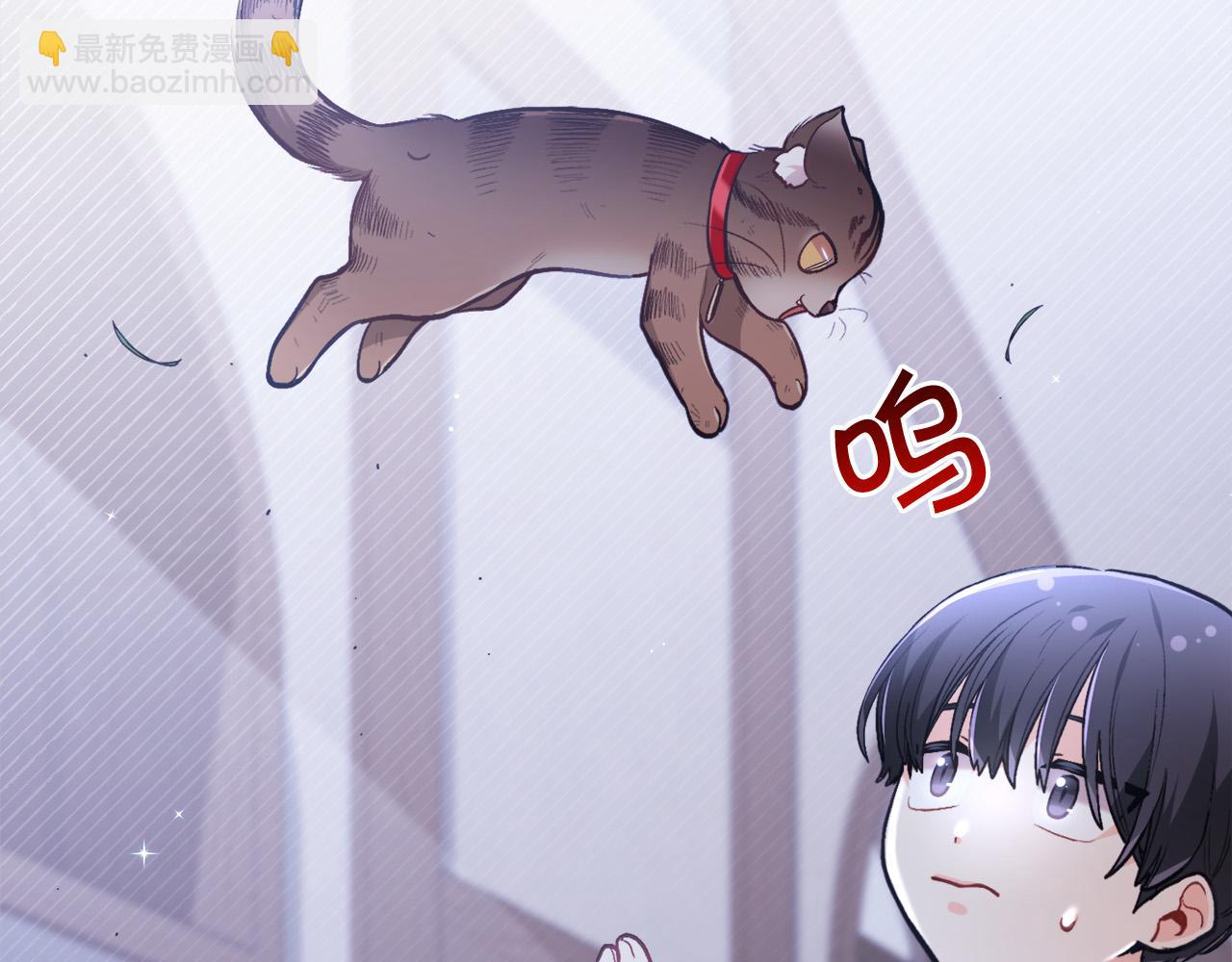 🍴精灵团宠小千金 第119话 泰拉登场！ 第7页