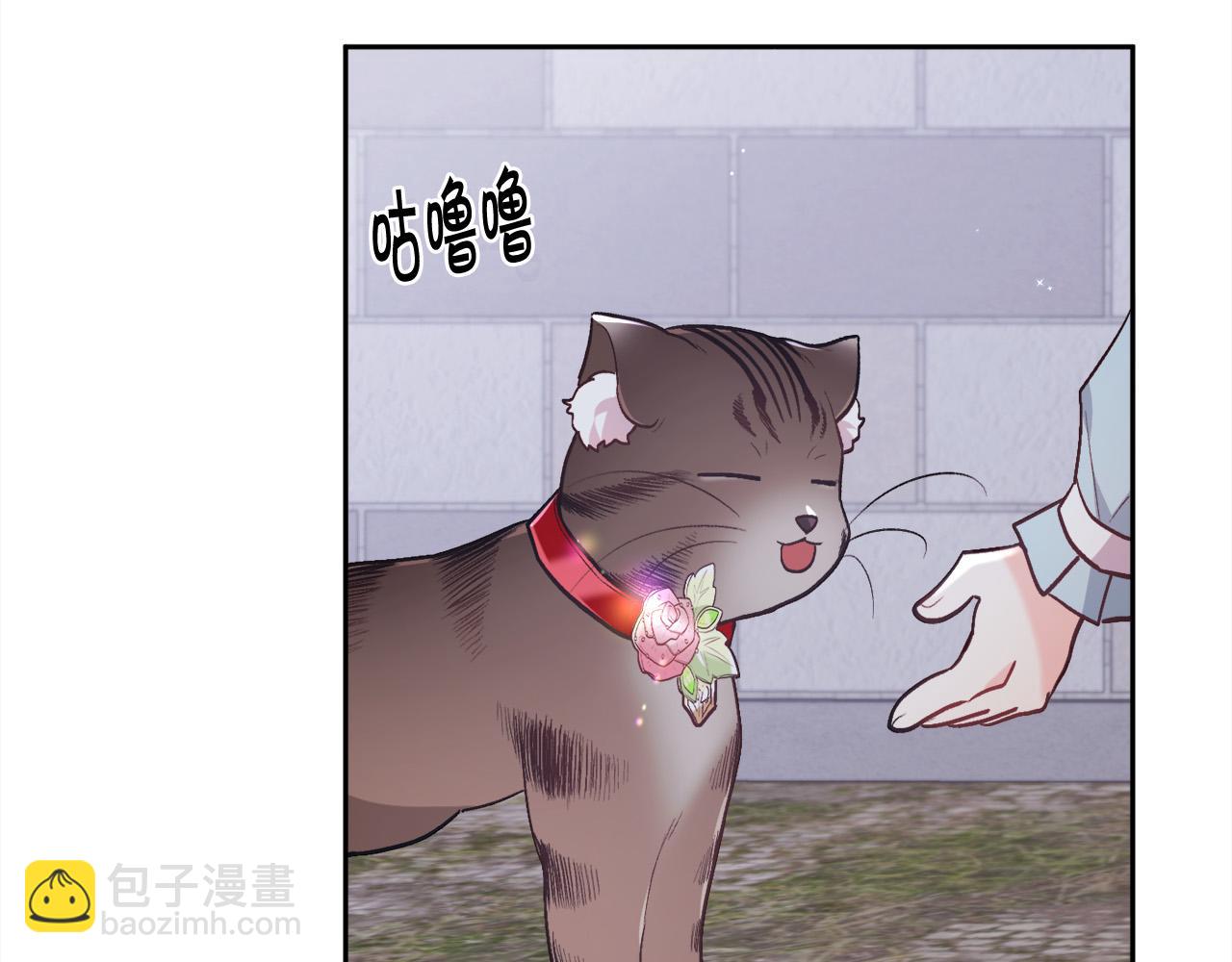 🍴精灵团宠小千金 第123话 泰拉变身！ 第37页