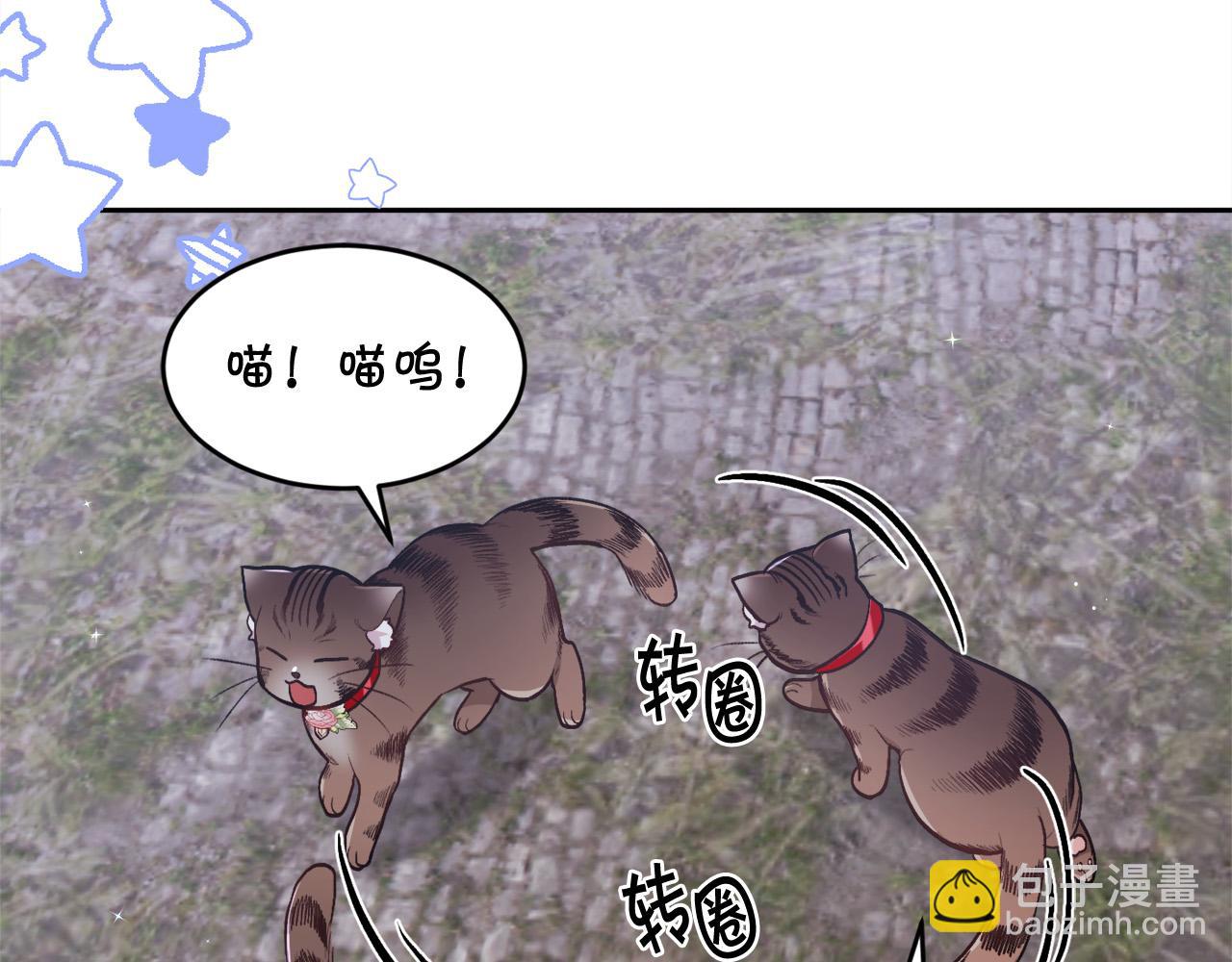 🍴精灵团宠小千金 第123话 泰拉变身！ 第42页