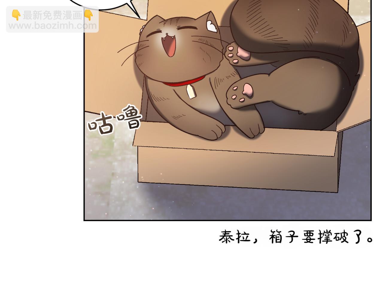 🍴精灵团宠小千金 第210话 我表白了 第10页