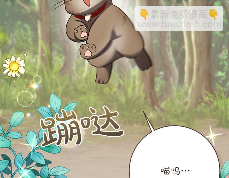 🍴精灵团宠小千金 第220话 强化魔法课 第26页