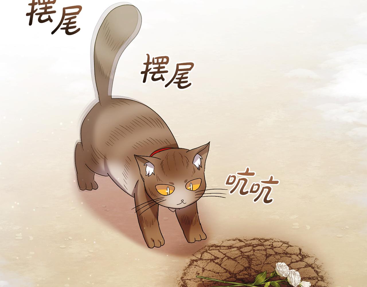 🍴精灵团宠小千金 第257话 深藏不露的泰拉 第27页