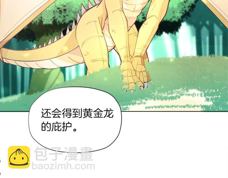 🍴精灵团宠小千金 第3话 被精灵赋予祝福 第17页