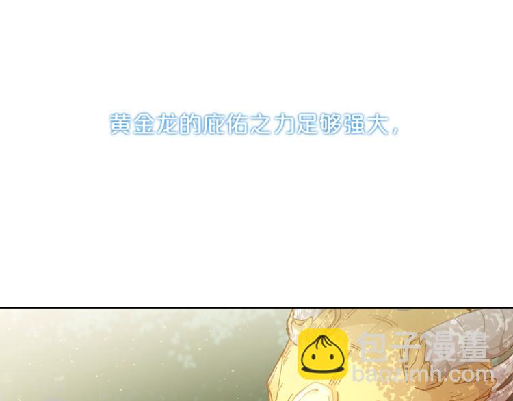 🍴精灵团宠小千金 第3话 被精灵赋予祝福 第27页