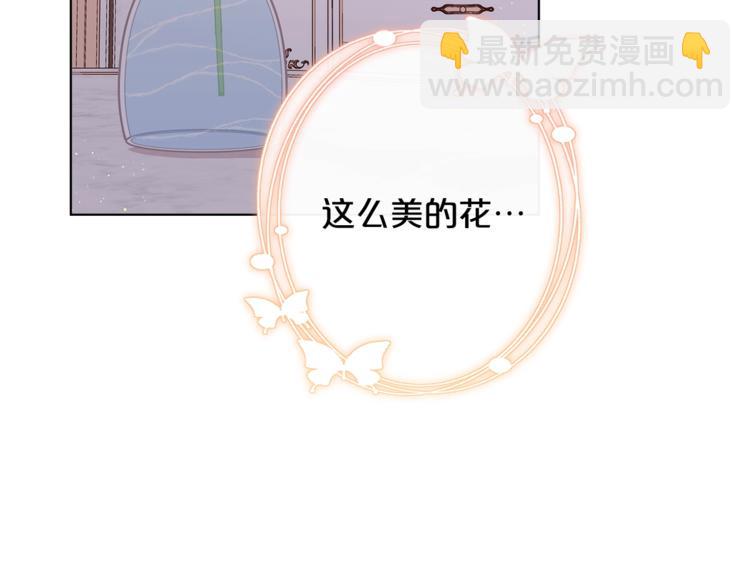 🍴精灵团宠小千金 第37话 涨知识了~ 第26页