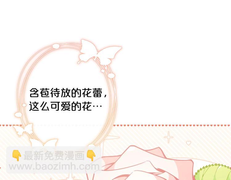 🍴精灵团宠小千金 第37话 涨知识了~ 第27页