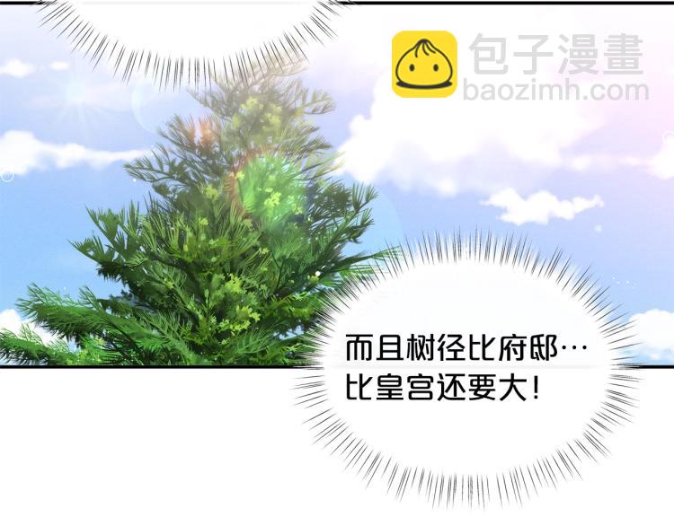 🍴精灵团宠小千金 第49话 父母的烦心事 第36页