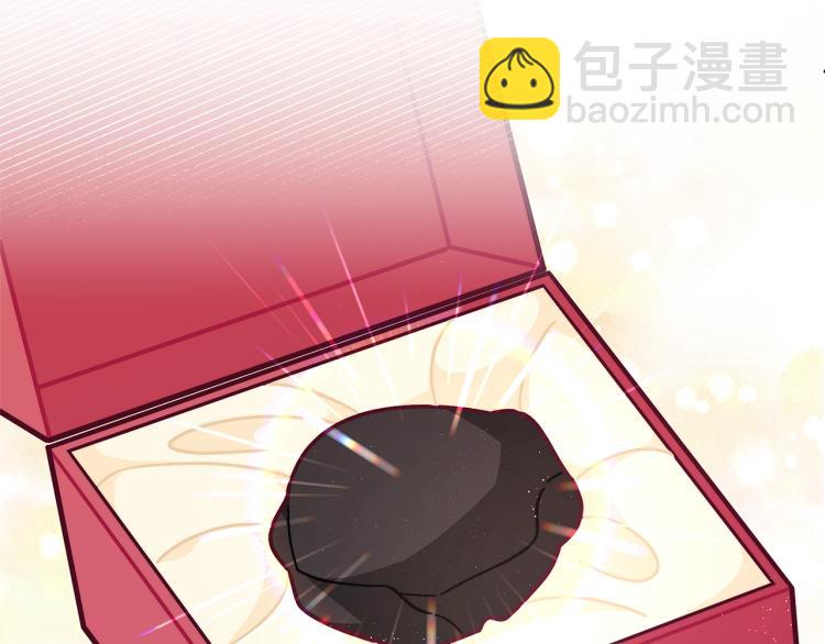 🍴精灵团宠小千金 第51话 弟弟的魔法 第11页