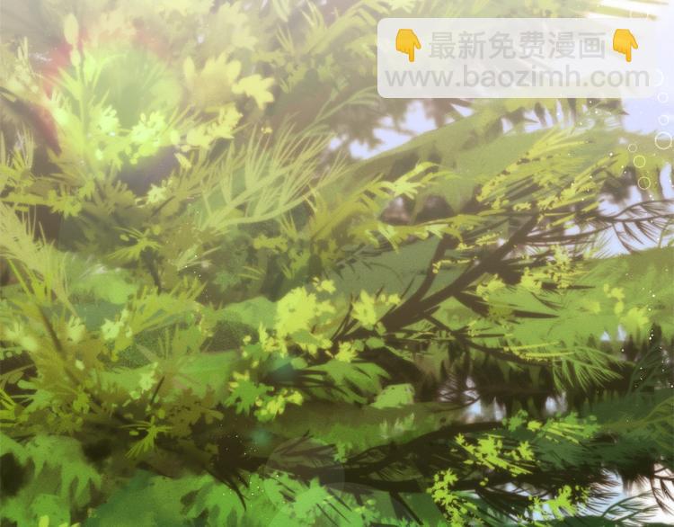 🍴精灵团宠小千金 第51话 弟弟的魔法 第42页