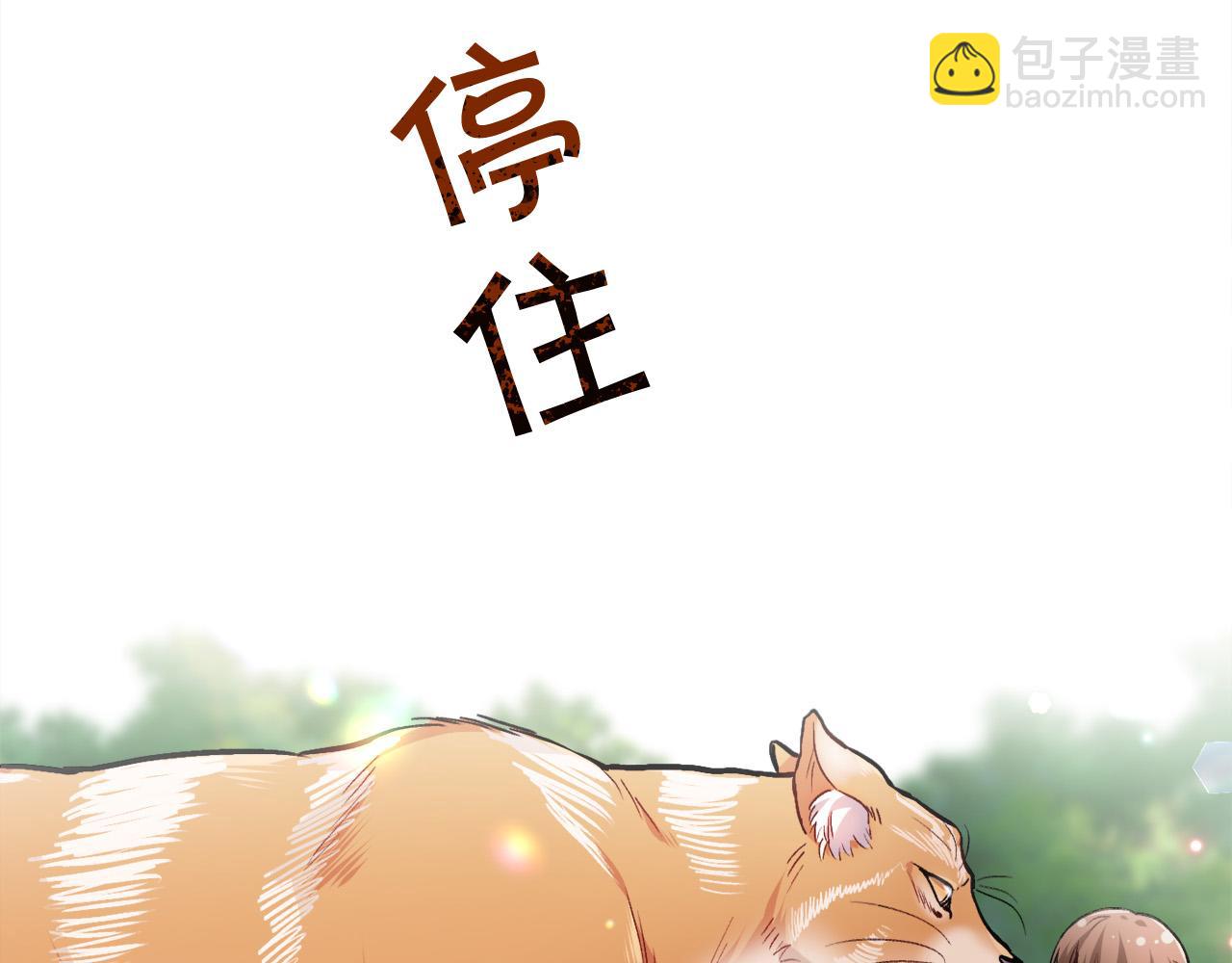 🍴精灵团宠小千金 第81话 缔结契约 第5页