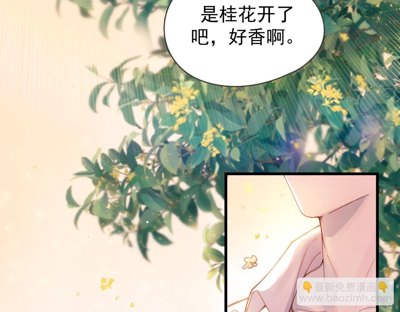 第37话 桂花树下(1/3)-第42话