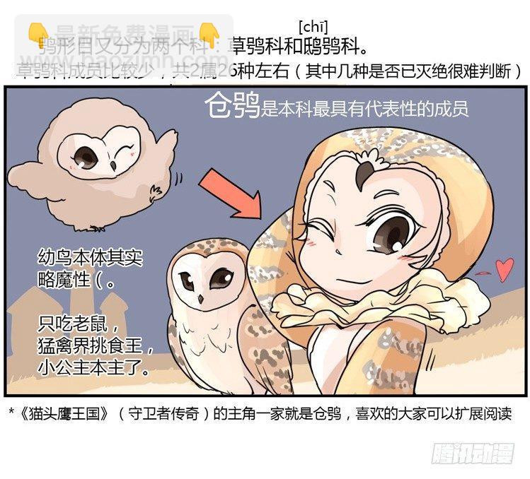 飞吧小少爷：现实问题-第2话