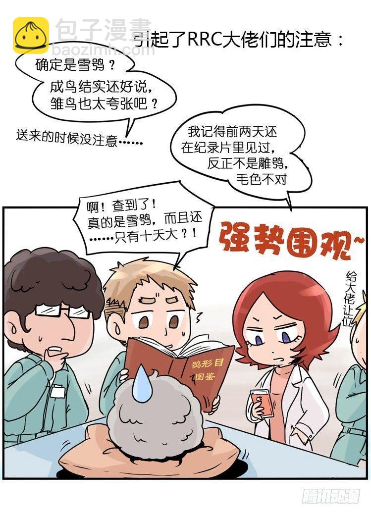 飞吧小少爷：现实问题-第2话