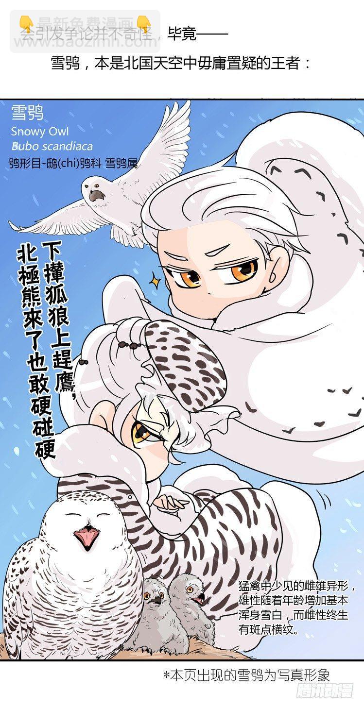 飞吧小少爷：现实问题-第2话