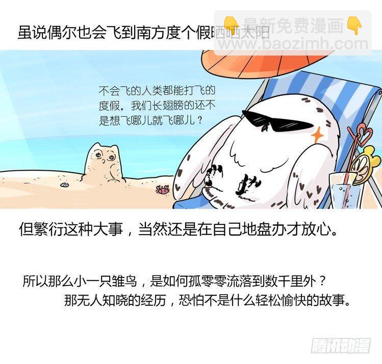 飞吧小少爷：现实问题-第2话