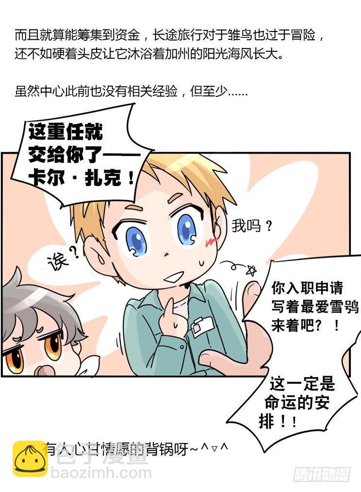 飞吧小少爷：现实问题-第2话