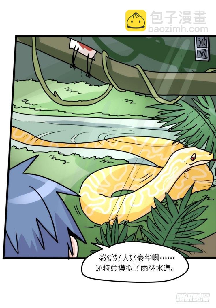 动协在行动09：小公主？！-第102话