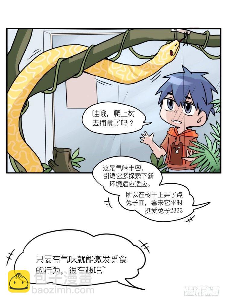 动协在行动09：小公主？！-第102话