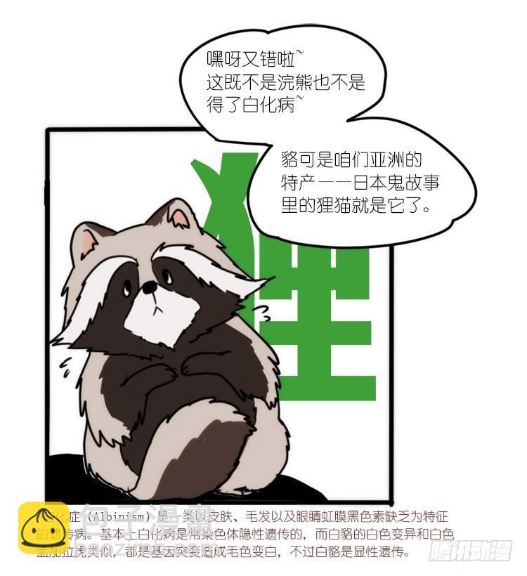 动协在行动11：cos大佬？！-第104话