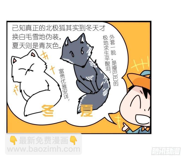 动协在行动11：cos大佬？！-第104话