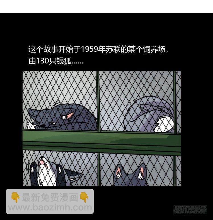 动协在行动11：cos大佬？！-第104话
