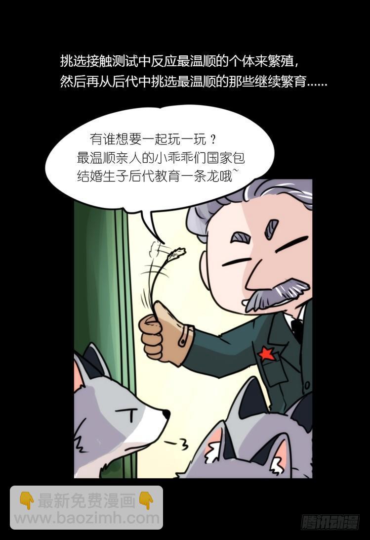动协在行动11：cos大佬？！-第104话