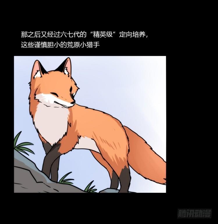 动协在行动11：cos大佬？！-第104话