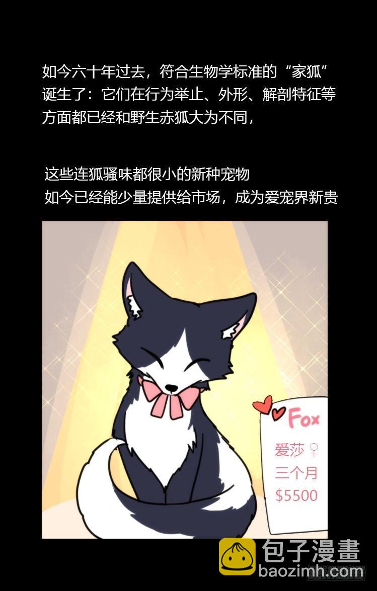 动协在行动11：cos大佬？！-第104话