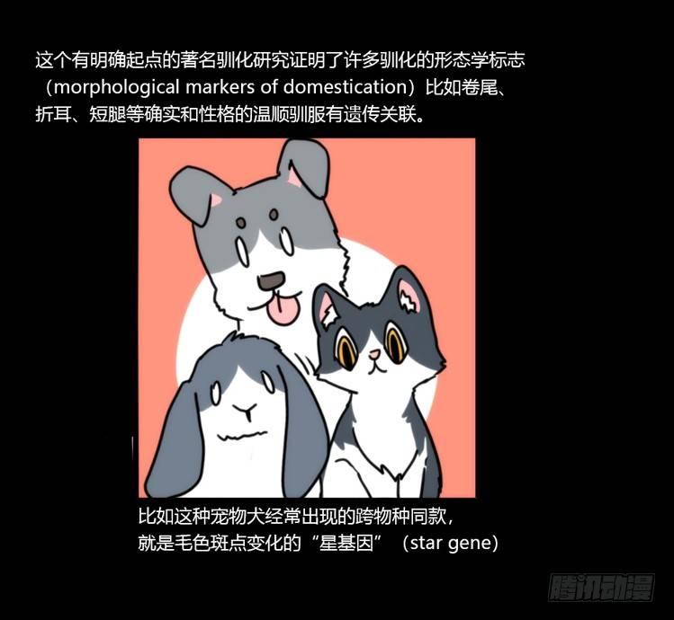 动协在行动11：cos大佬？！-第104话