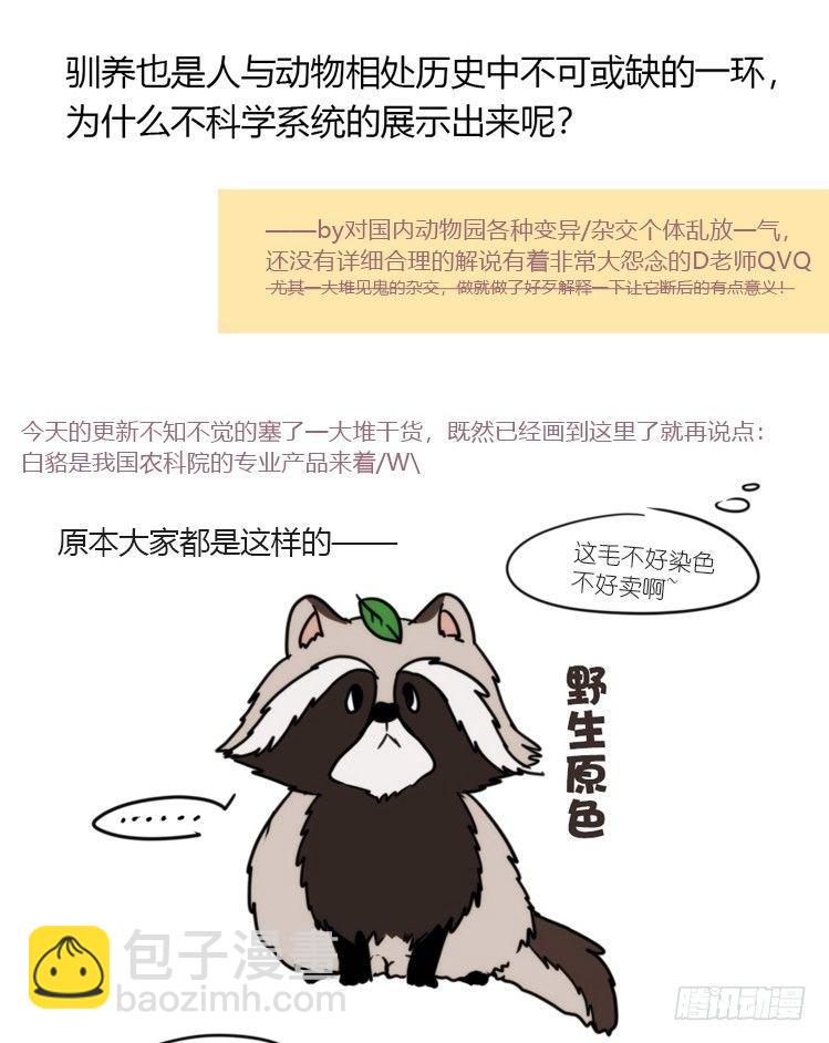 动协在行动11：cos大佬？！-第104话