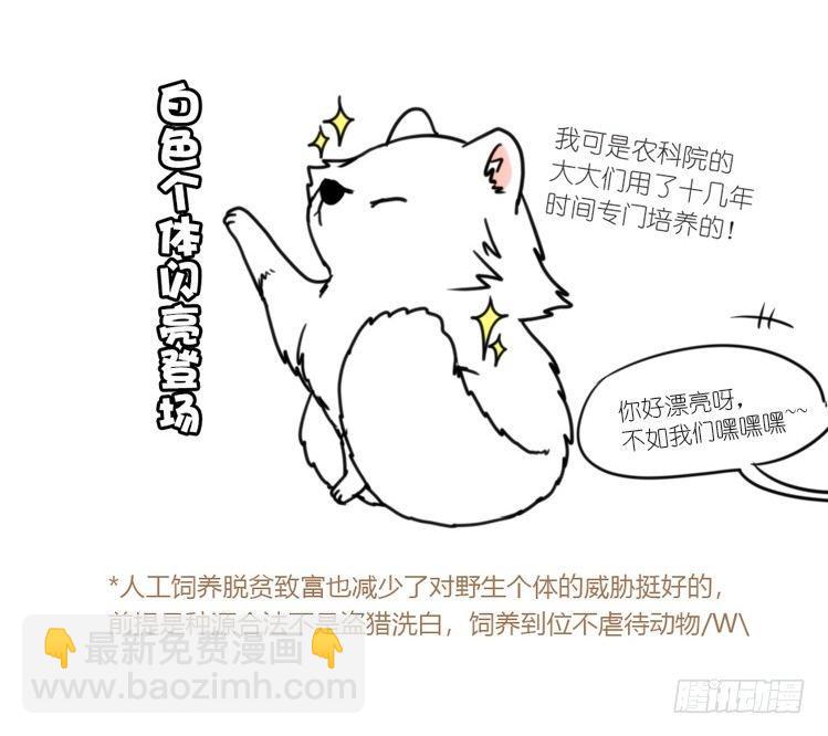 动协在行动11：cos大佬？！-第104话