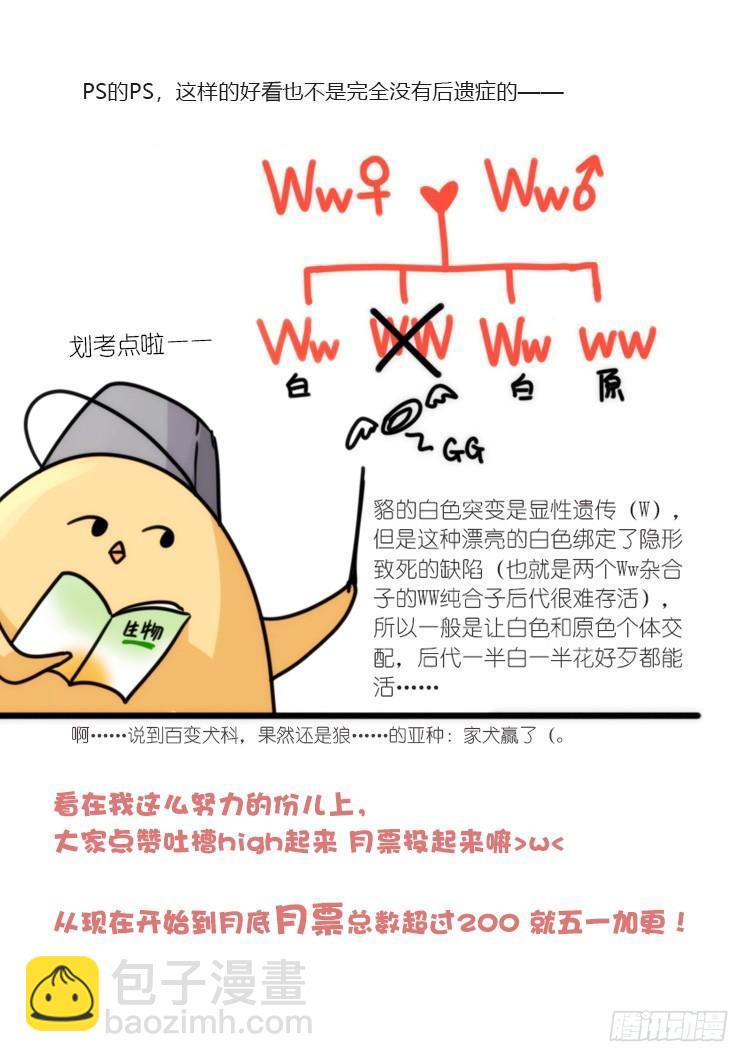 动协在行动11：cos大佬？！-第104话
