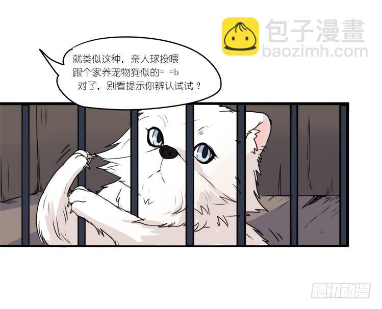 动协在行动11：cos大佬？！-第104话