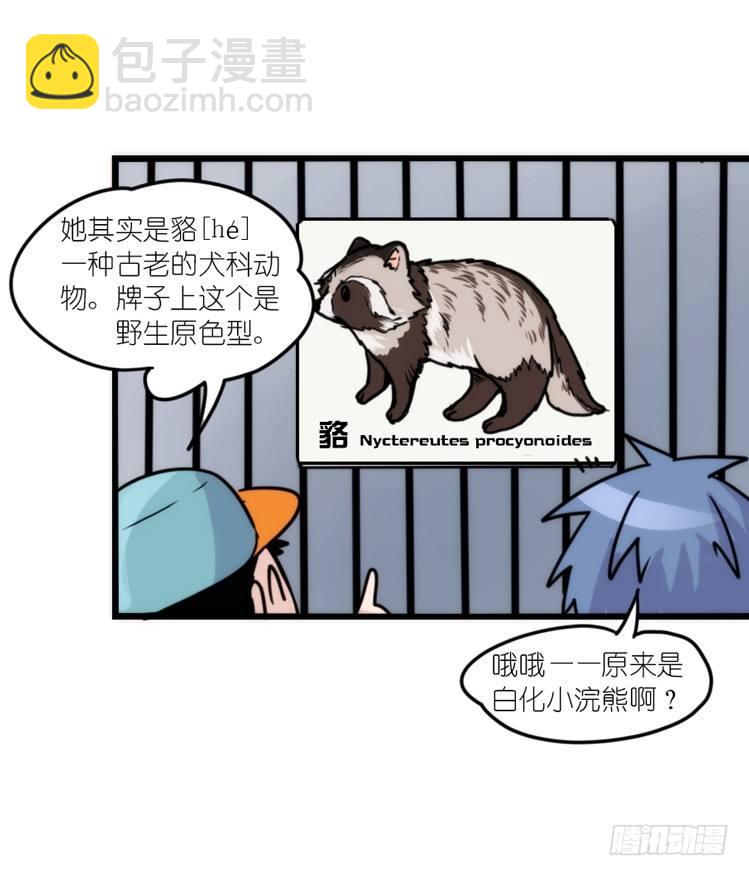 动协在行动11：cos大佬？！-第104话
