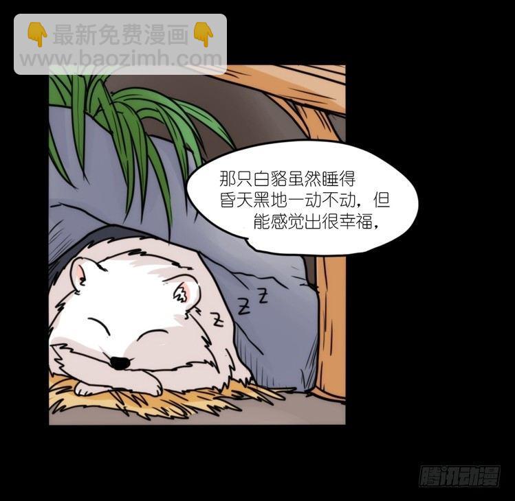 动协在行动13：变化-第106话