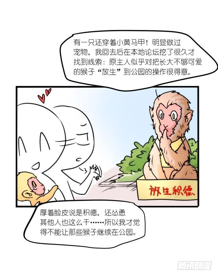 动协在行动15：正确调教法？-第108话
