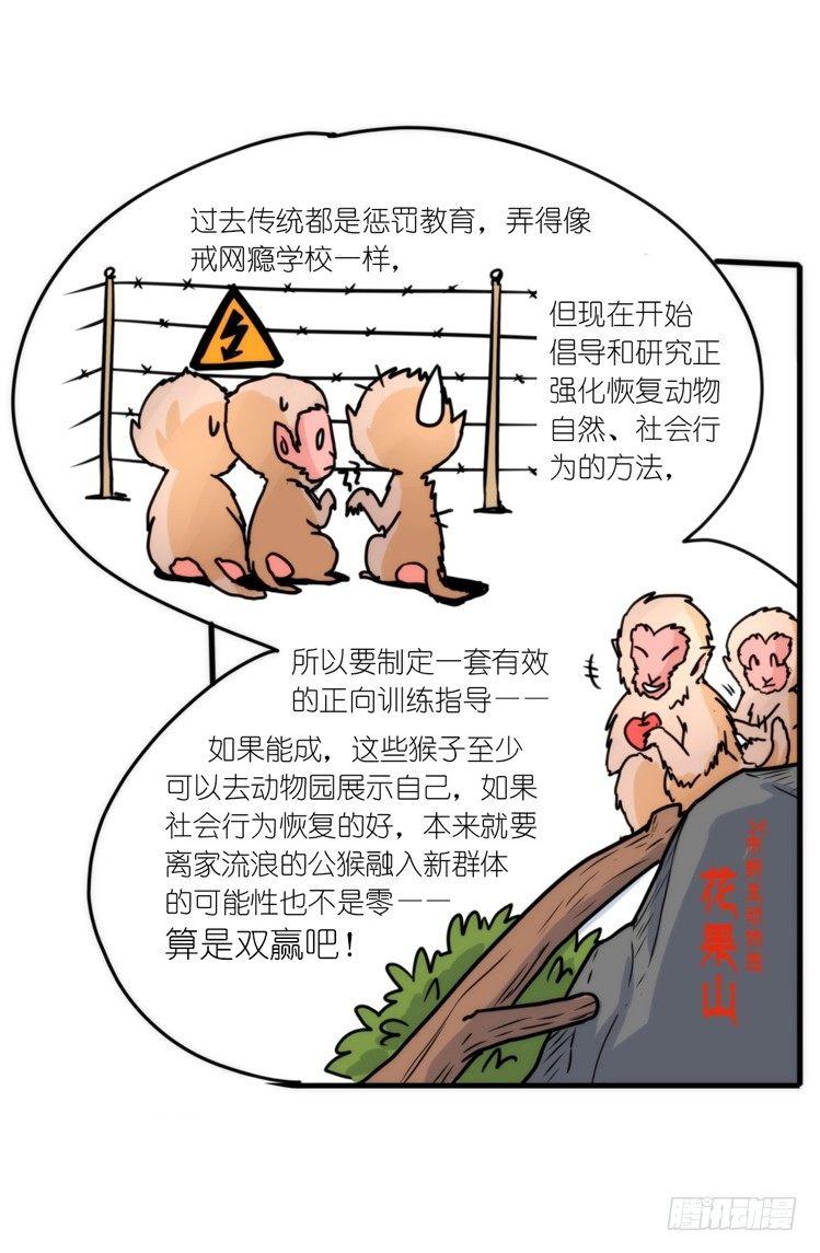 动协在行动15：正确调教法？-第108话