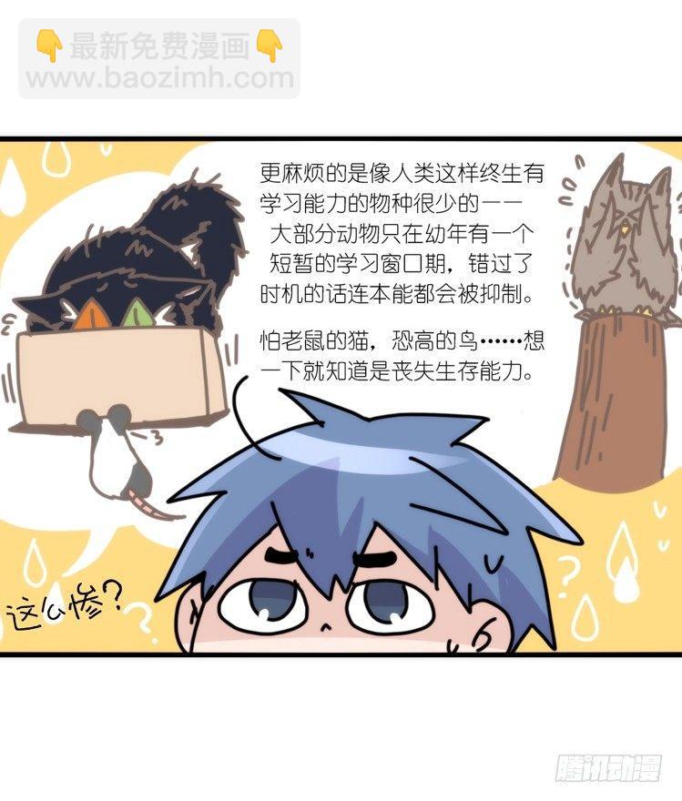 动协在行动15：正确调教法？-第108话