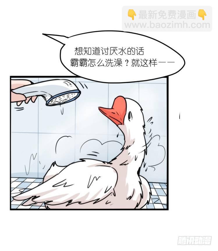 动协在行动15：正确调教法？-第108话
