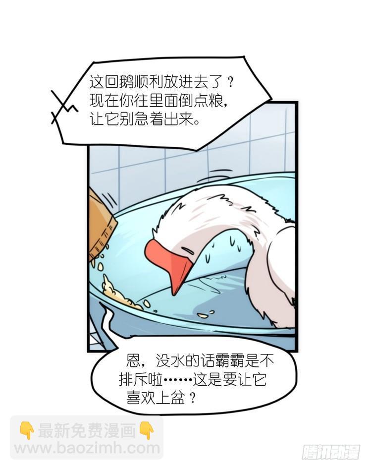 动协在行动15：正确调教法？-第108话