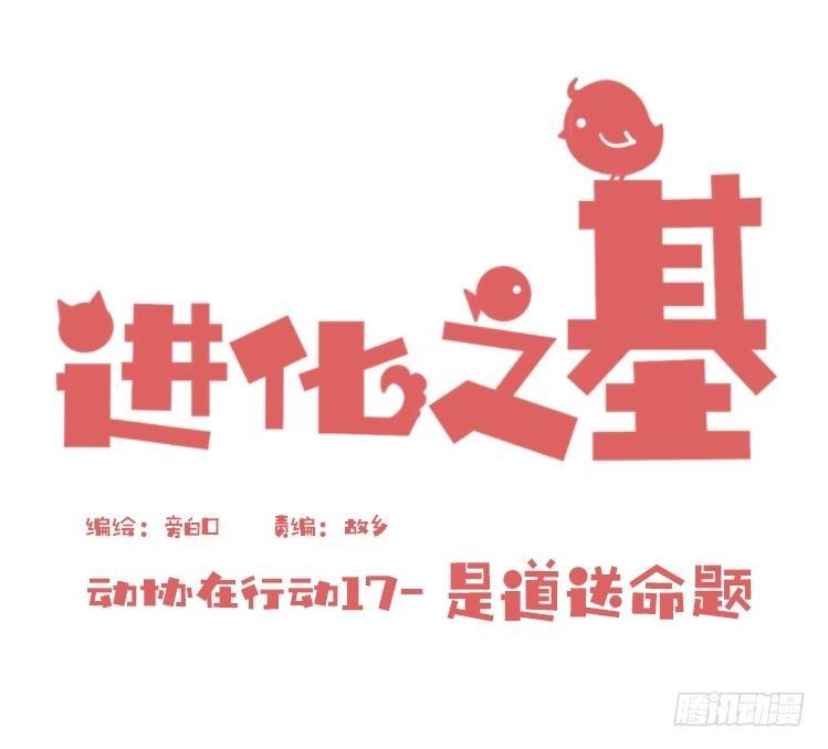动协在行动17：是送命题！-第110话