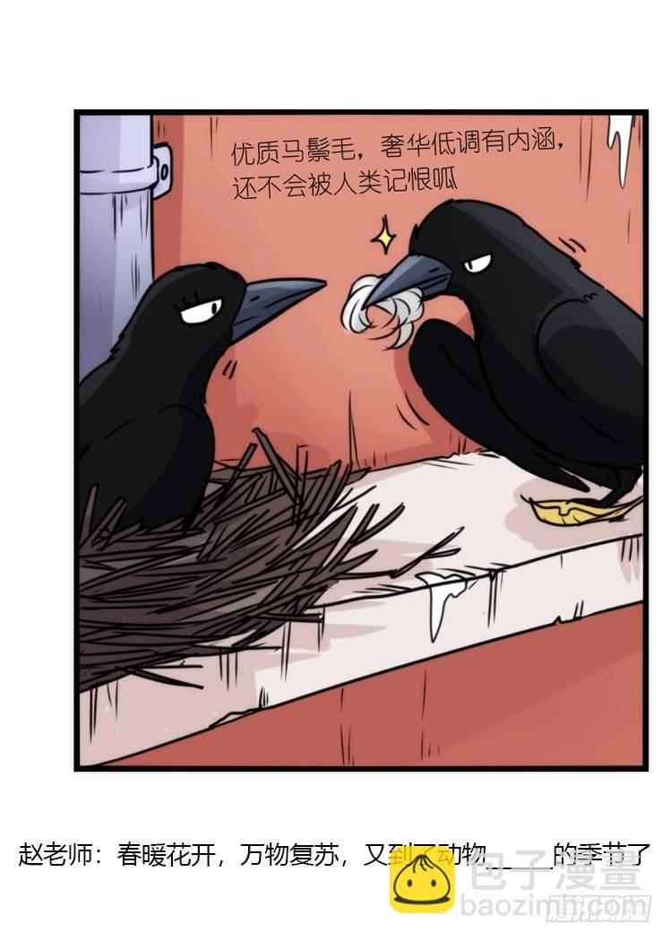 动协在行动17：是送命题！-第110话