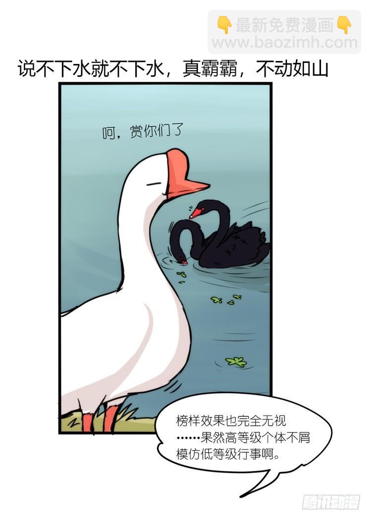 动协在行动17：是送命题！-第110话