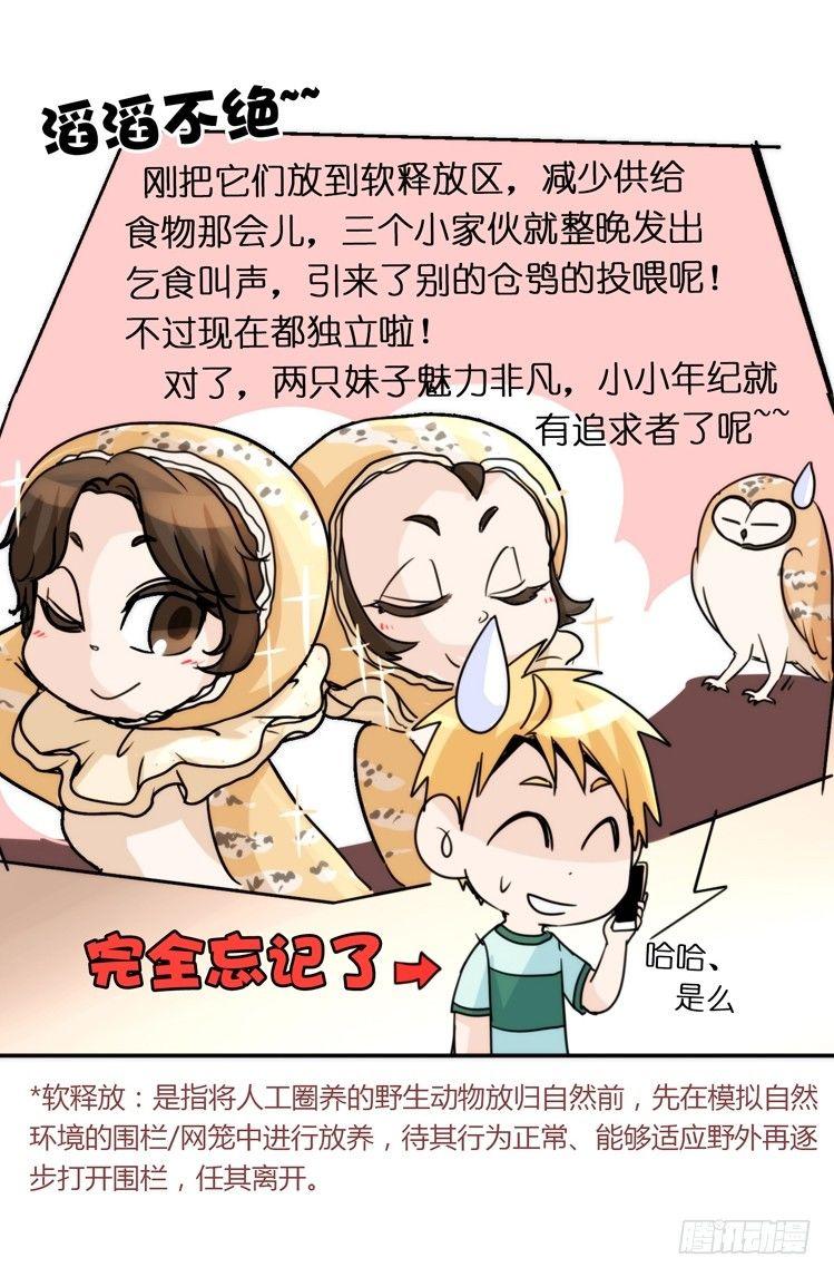 飞吧小少爷：走吧，一起回家-第12话