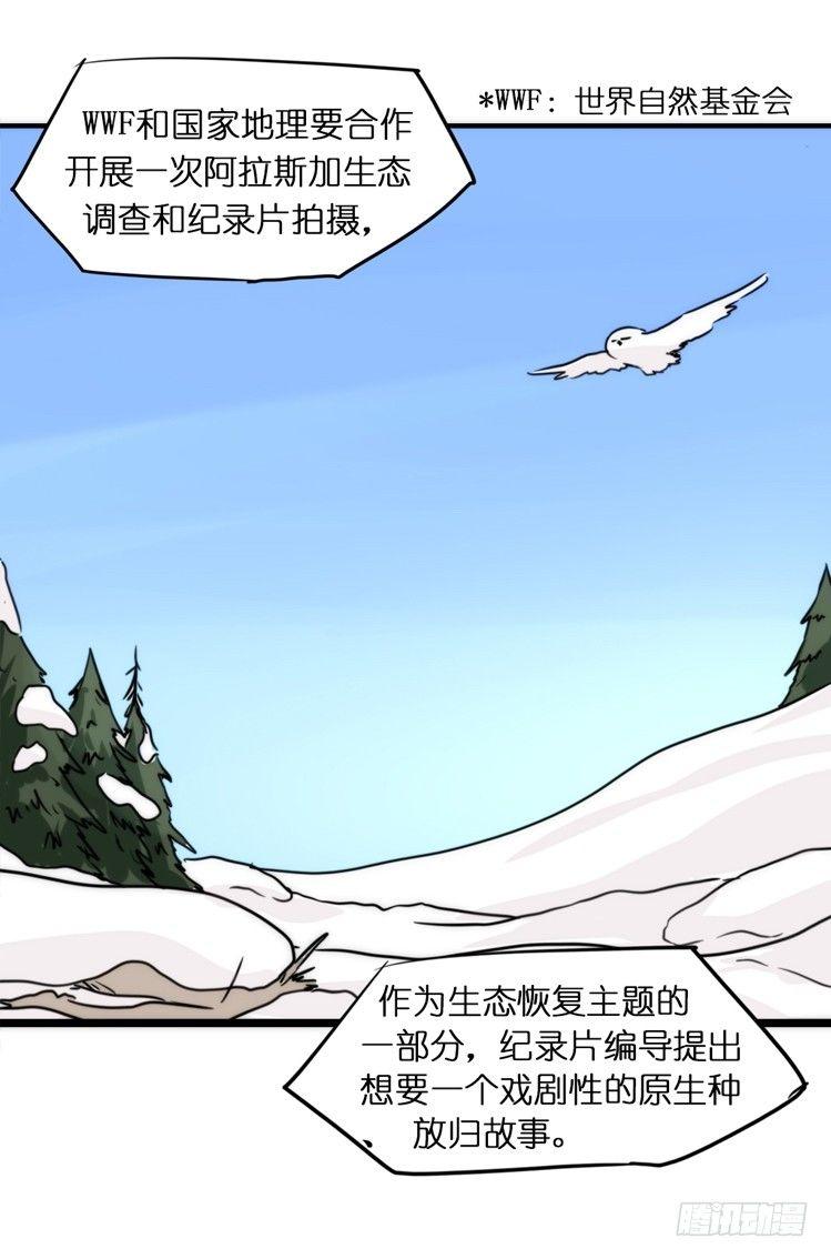 飞吧小少爷：走吧，一起回家-第12话