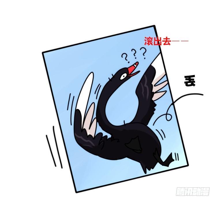 动协在行动21：毛绒绒战争-第114话