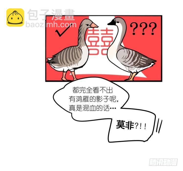 动协在行动23：搞个大新闻！-第116话
