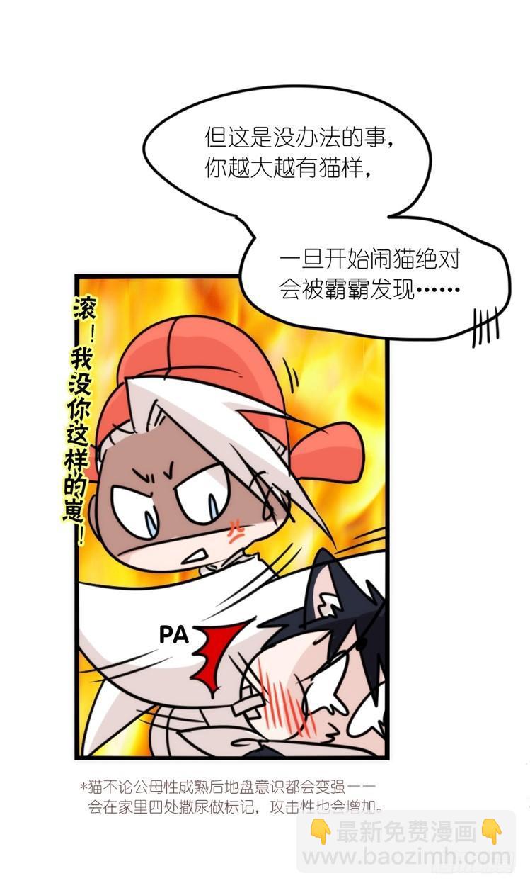 动协在行动23：搞个大新闻！-第116话