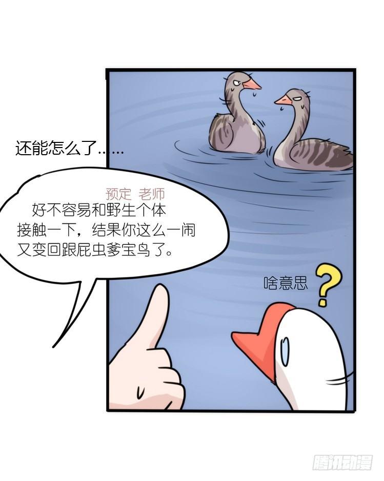 动协在行动25：向卡尔导师致敬！-第118话