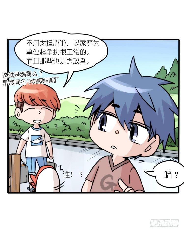 动协在行动25：向卡尔导师致敬！-第118话